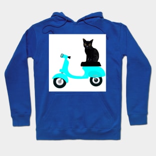 MOTORCYCLE RIDE CAT II Hoodie